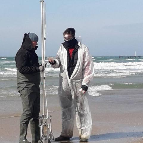 Чёрное море восстанавливается после разлива мазута: концентрация загрязняющих веществ снизилась вдвое