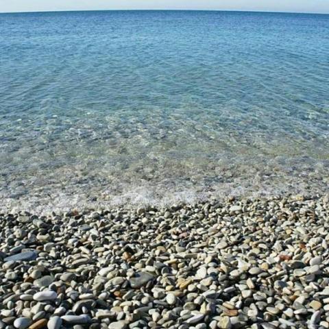 Вода и пляжи в Крыму и Севастополе безопасны для купания