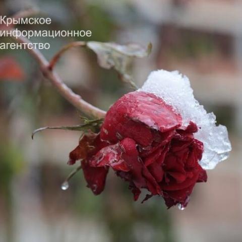 Холодный фронтальный раздел принёс в Крым 