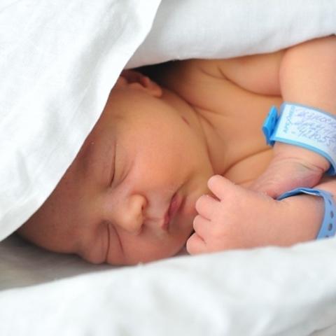 За неделю в Крыму зарегистрировали рождение 354 малышей